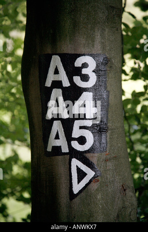 Markings for a hiker trail on a tree trunk Stock Photo