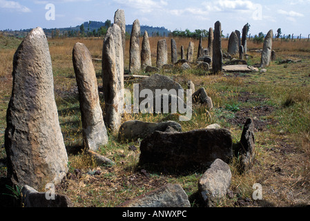 Ancient Stellae serve as headstones for those that have died, some date from the 12th century AD, Ethiopia, Africa. Stock Photo