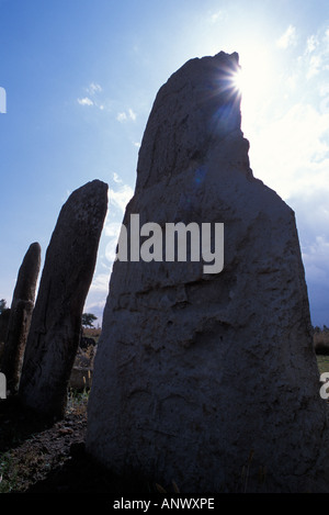 Ancient Stellae serve as headstones for those that have died, some date from the 12th century AD, Ethiopia, Africa. Stock Photo