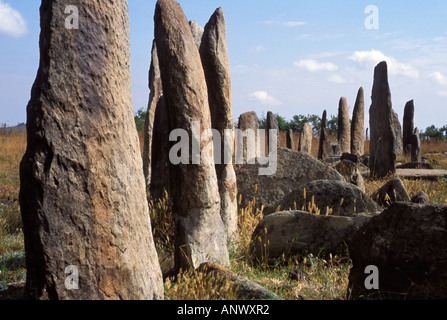 Ancient Stellae serve as headstones for those that have died, some date from the 12th century AD, Ethiopia, Africa. Stock Photo