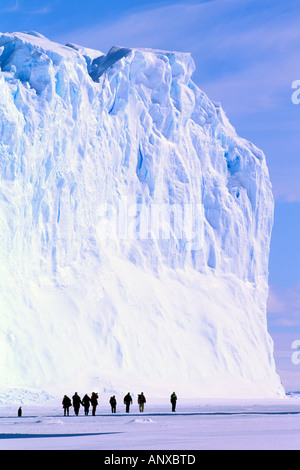 Antarctica, Australian Antarctic Territory, Auster 'EP' Rookery. Emperor Penguin (Aptenodytes forsteri) Stock Photo