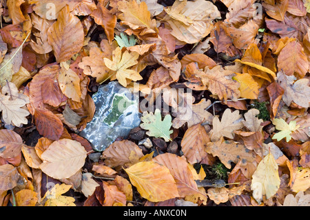 Autumn leaves and flint Stock Photo