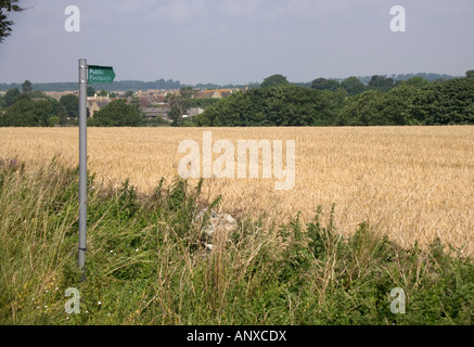 A public footpath sign pointing across a corn field, Cotswold, Gloucestershire, England, UK Stock Photo