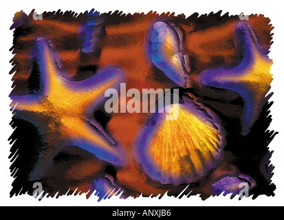 shells on sand at beach graphic photo illustration Stock Photo