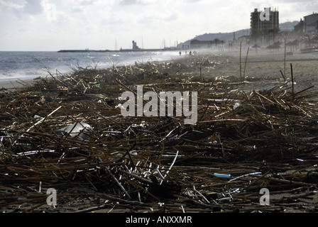 Tonnes of bamboo and other debris washed onto the beach by storms around Sabinillas, Spain in December 2007 Stock Photo