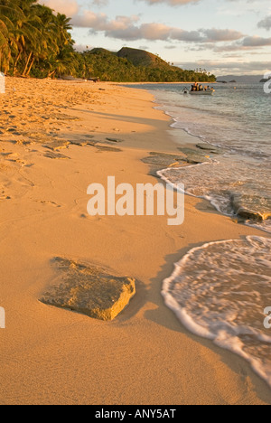 South Pacific, Fiji, Kadavu. Conservation volunteers preparing to ...