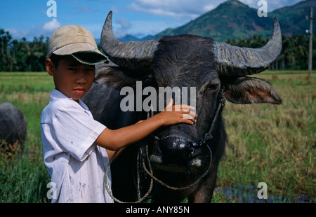 Vietnam, Khanh Hoa Province, Near Nha Trang. Young boy with Water Buffalo. Stock Photo