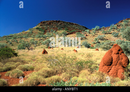 Australia, Western Australia, Pilbara, Karijini National Park, Mount Bruce and termite mounds Stock Photo