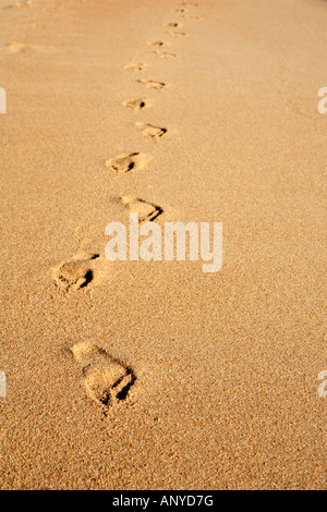 footstep on the sand of abraao beach in the beautiful island of ilha grande near rio de janeiro in brazil Stock Photo