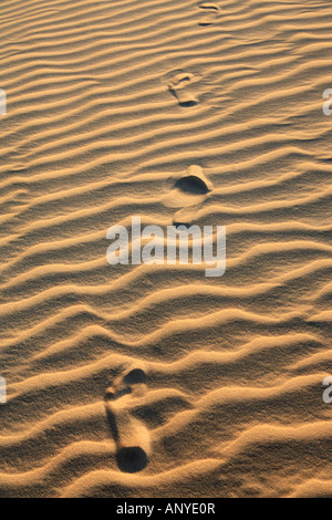 footsteps on the ripples of sand dune of cumbuco in ceara state brazil Stock Photo