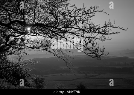 monochrome misty sunrise from longstone edge in the english peak district national park in the winter with frost on the trees Stock Photo