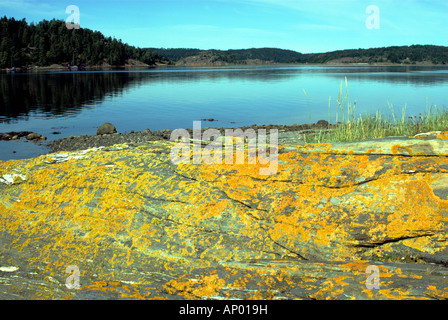 A calm fjord as viewed from a small island with abundant lichen, Farholmen, west coast of Sweden Stock Photo