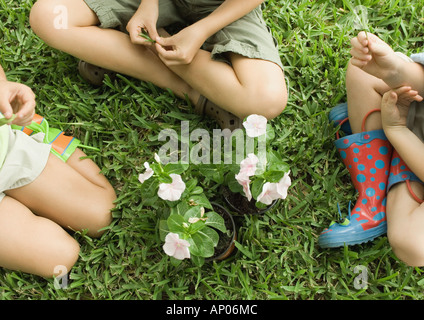 Three children sitting around flowers, on grass Stock Photo