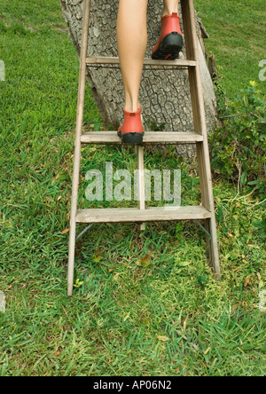 Woman climbing ladder next to tree, view of legs Stock Photo