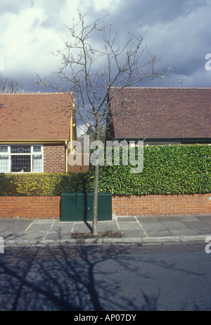 suburban street, Heaton Moor, Stockport, Cheshire, UK Stock Photo