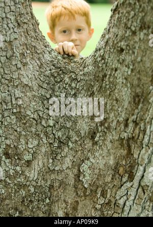 Boy standing behind tree Stock Photo