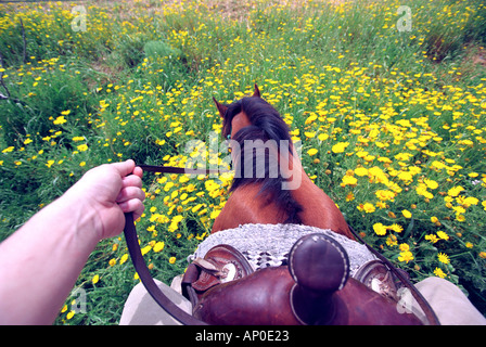 Horse riding in the countryside in Cyprus Stock Photo