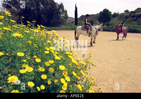 Horse riding in the countryside in Cyprus Stock Photo