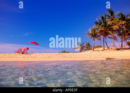 Clear aqua blue waters lap at the shore of a tropical beach on an island with palm trees in the Bahamas Stock Photo