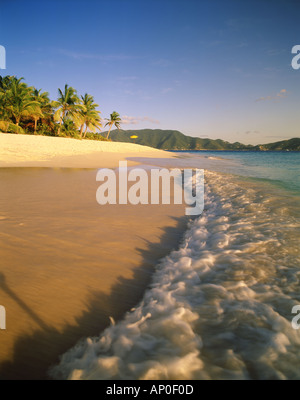 Warm Caribbean waters roll onto the shore on the beach at Sandy Key off the island of Tortola in the British Virgin Islands Stock Photo