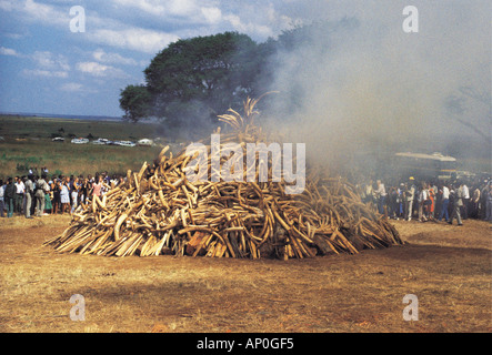 Elephant ivory bonfire 18th July 1989 Nairobi National Park Kenya East Africa Stock Photo