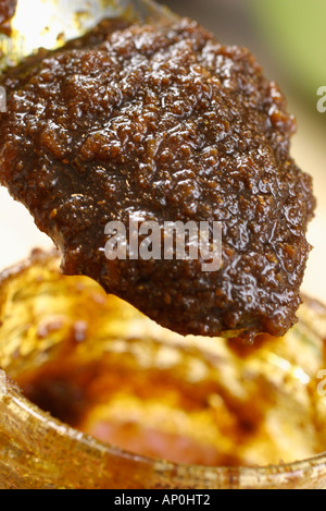 Indian curry paste Stock Photo