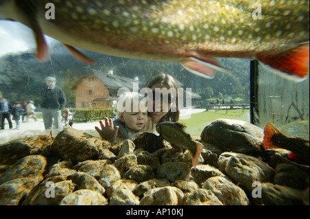 Mother with child behind an aquarium, Restaurant, St Bartholomae, Lake Koenigssee, Berchtesgaden, Bavaria, German Stock Photo