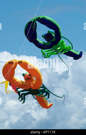 kite festival green orange lobster claw  huge geometric blue sky multi colour color morcambe Lancashire north west UK United Kin Stock Photo