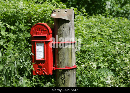 Country Letterbox On A Post Norfolk Broads Norfolk UK Stock Photo