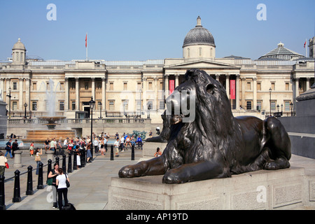 Lion and National Gallery at Trafalgar Square in London Stock Photo