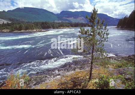 Salt water tidal rapids at Skookumchuck Narrows Provincial Park Stock Photo