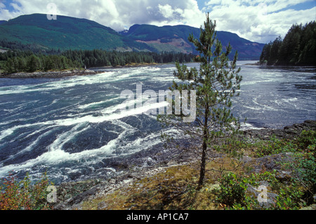 Salt water tidal rapids at Skookumchuck Narrows Provincial Park Stock Photo