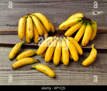 Agriculture - Baby bananas on a barnwood surface, in studio. Stock Photo