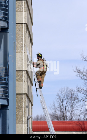 Firefighters training at school ladder Stock Photo