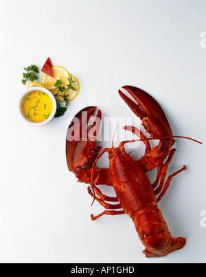 whole cooked lobster silhouette on white Stock Photo