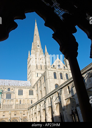 VIEW FROM CLOISTERS OF NORWICH CATHEDRAL AND SPIRE, NORFOLK ENGLAND UK  EDITORIAL  USE ONLY Stock Photo