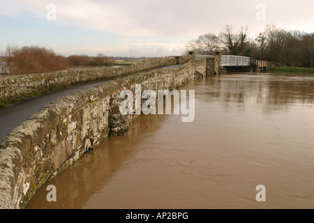 River Arun in flood January 2008 Stock Photo