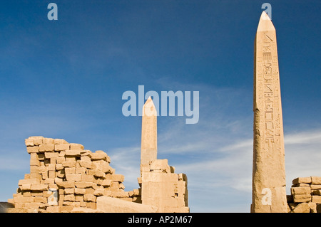 Obelisks of Hatshepsut and Tuthmose, Karnak Temple Complex, Luxor, Egypt, Middle East. DSC 4402 Stock Photo