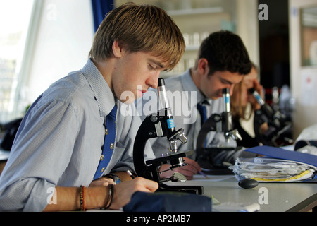 Male students in biology lesson at Colyton Grammar School in Devon UK Stock Photo