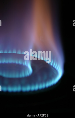 Burning fuel LPG bluish color bright flame two circles on cooking gas range stove in modern new kitchen in India Stock Photo