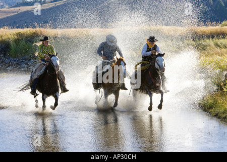 Cowgirl and Cowboys riding in water, wildwest, Oregon, USA Stock Photo