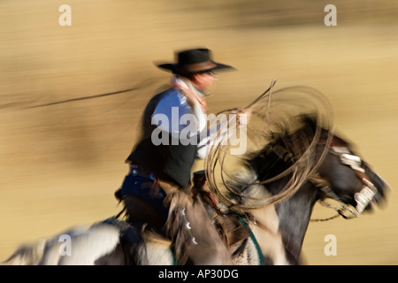 Cowboy riding and throwing lasso wildwest, Oregon USA Stock Photo