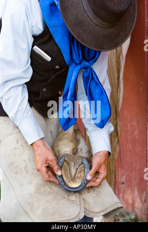 horseshoeing in wildwest Oregon, USA Stock Photo