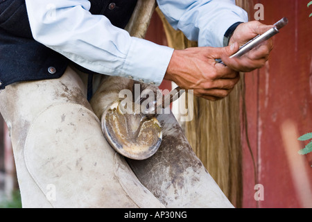 horseshoeing in wildwest Oregon, USA Stock Photo