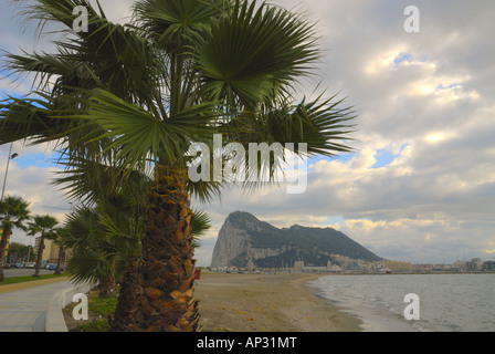 rock of gibraltar viewed from la linea spain, framed by a palm tree portrait format Stock Photo