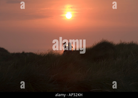 Sunset Silhouette of Romantic Couple in Dunes at Henne Strand Beach, Henne Strand, Central Jutland, Denmark Stock Photo