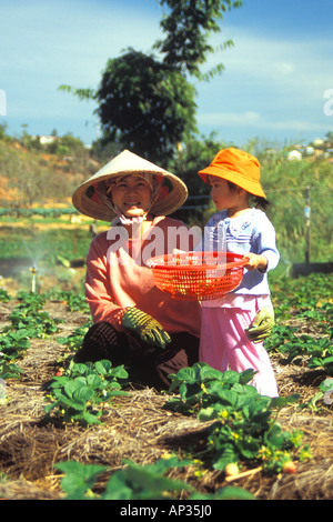 Mother and young daughter working in the fields, Dalat, Vietnam Stock Photo