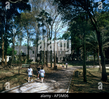 Farley Hill Mansion (ruins of 19thC house destroyed by fire in 1965), Farley Hill National Park, St Lucy, Barbados, Stock Photo