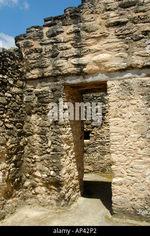 Central America, Belize, Chiquibul Forest Reserve, Caracol. Astronomy buildings. Stock Photo