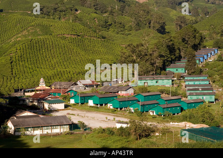 Workers' accomodation and administrative buildings on the Sungai Palas Boh Tea Estate in the Cameron Highlands, Malaysia. Stock Photo
